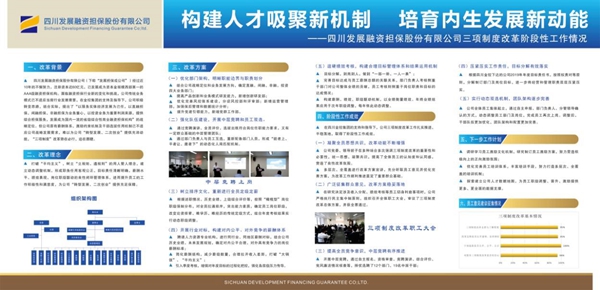 “空壳公司”成了“背锅侠”